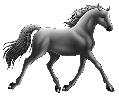 Canadian Sport Horse