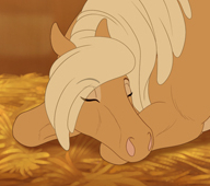 Horsetastic: Stalking Love Horsetastic: Stalking Love
